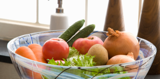 Quels sont les aliments riches en protéines végétales ?