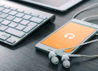 Les différents compléments de fer naturels