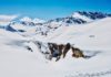 5 BONNES RAISONS DE FAIRE DU SKI À LA PLAGNE