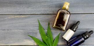 Le cannabidiol, un ingrédient à privilégier dans sa cuisine Cbd oil hemp